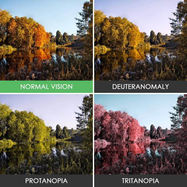 Take A Look At The World The Way Colorblind People See It