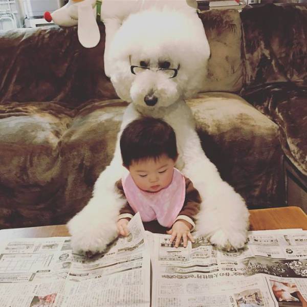 This One-Year-Old Girl And Her Giant Poodle Are The Ultimate Friendship Goal! This One-Year-Old Girl And Her Giant Poodle Are The Ultimate Friendship Goal!