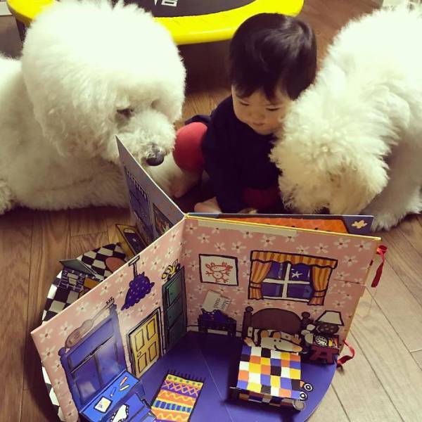 This One-Year-Old Girl And Her Giant Poodle Are The Ultimate Friendship Goal! This One-Year-Old Girl And Her Giant Poodle Are The Ultimate Friendship Goal!