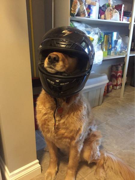 Daily Picdump