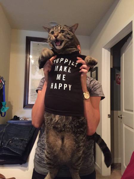 Daily Picdump
