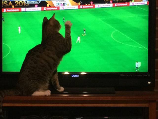Daily Picdump