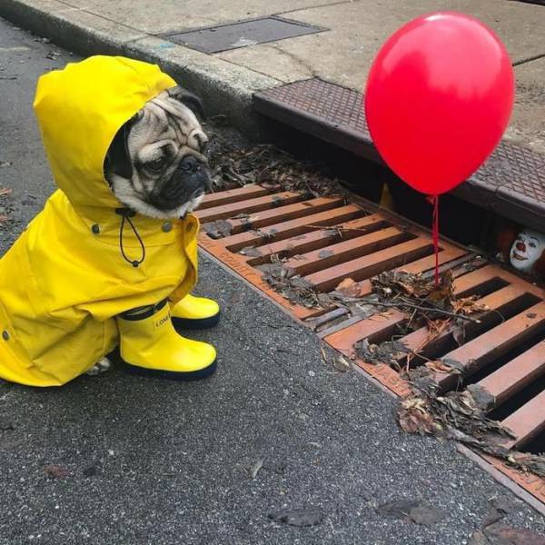 Daily Picdump