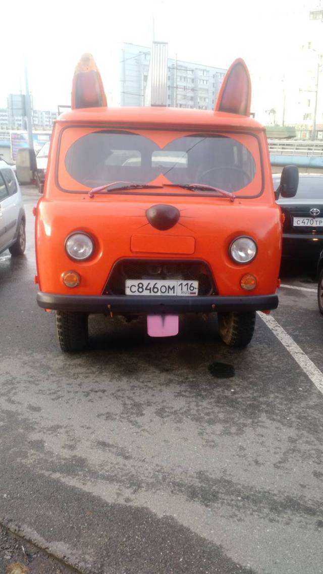 Daily Picdump