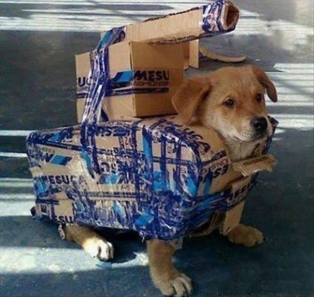 Daily Picdump