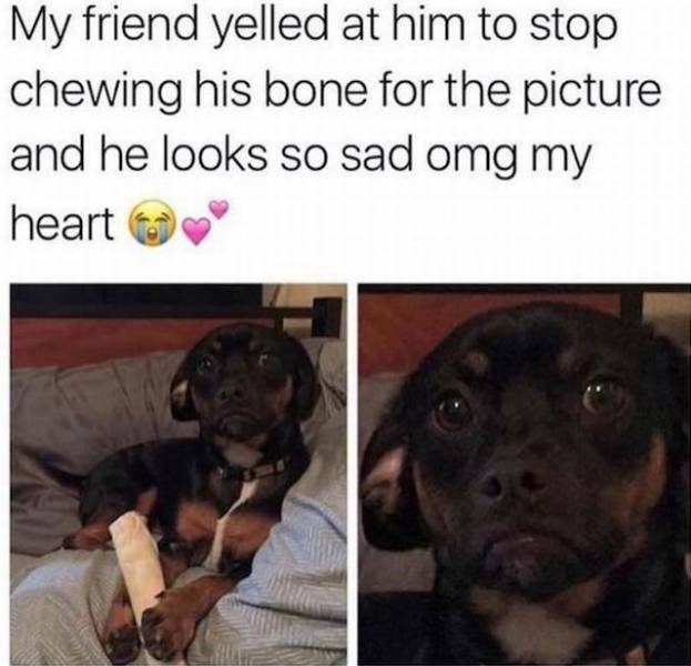 Daily Picdump