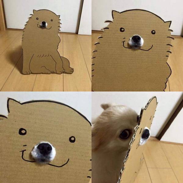Daily Picdump
