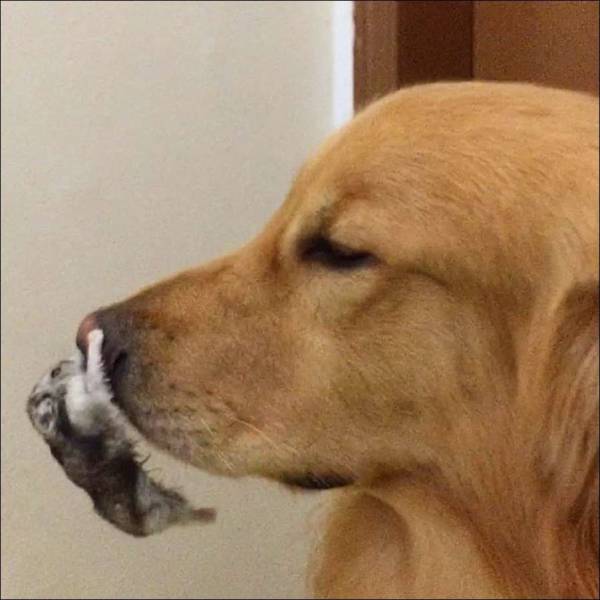 Daily Picdump