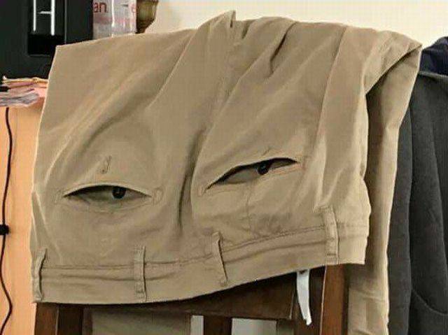 Daily Picdump