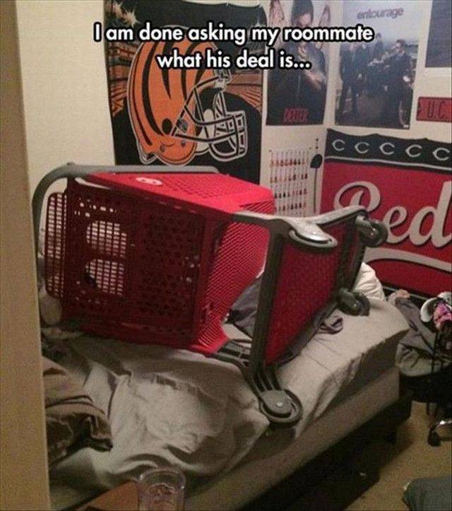 Daily Picdump