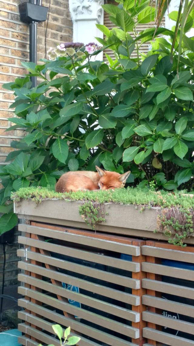 Daily Picdump