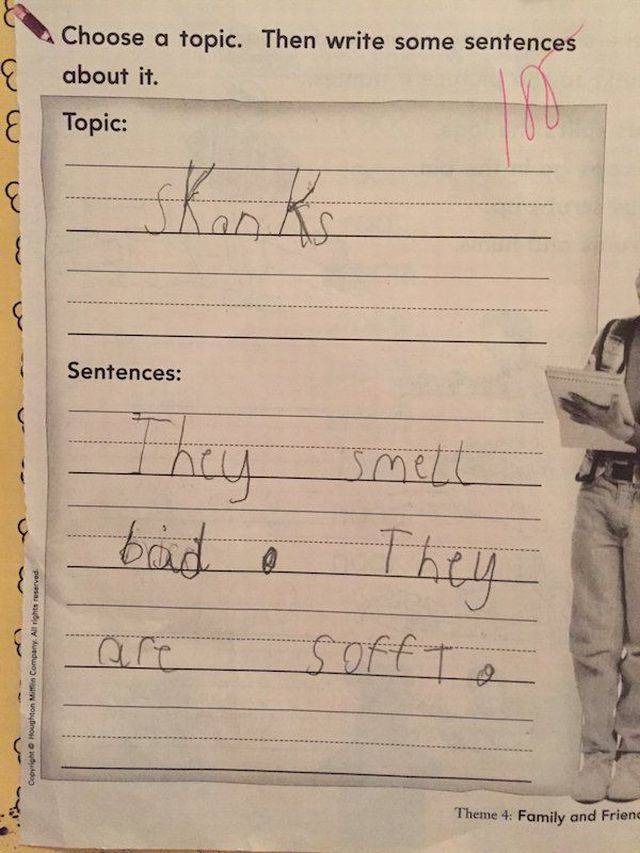 Daily Picdump