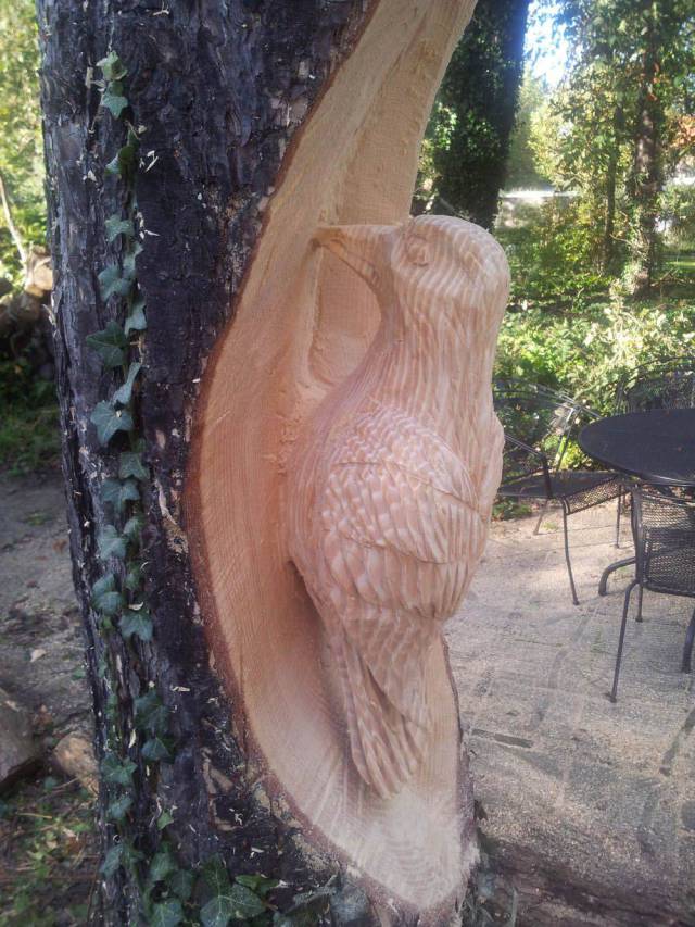Daily Picdump