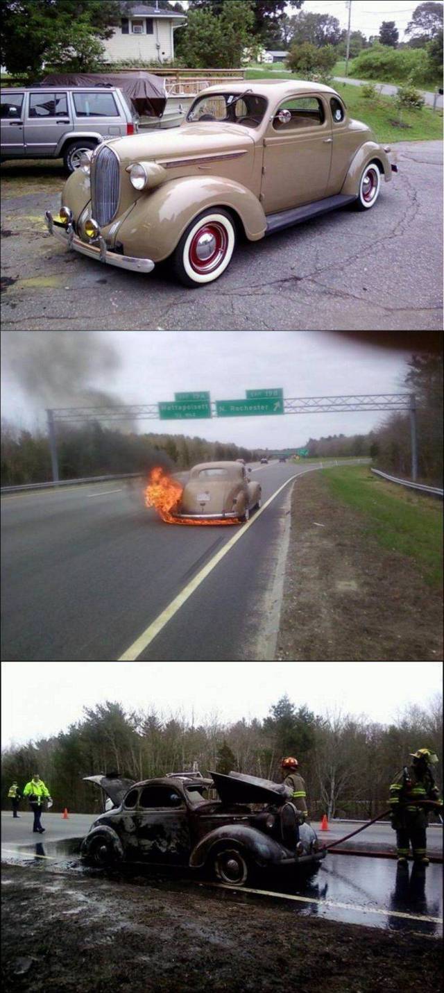 Daily Picdump