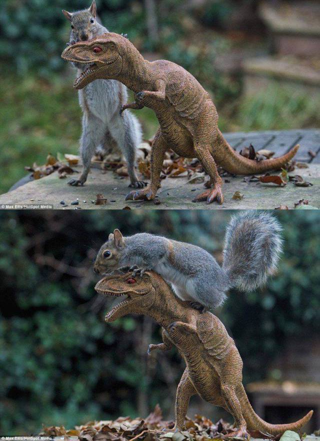 Daily Picdump