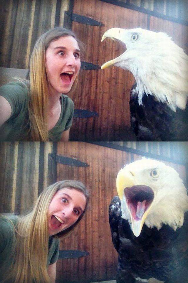 Daily Picdump