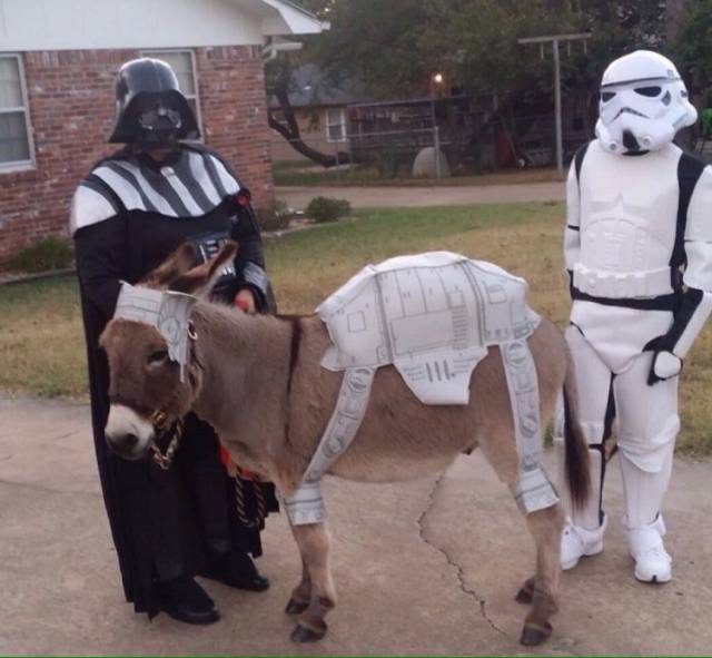 Daily Picdump