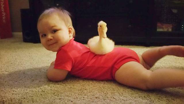 Daily Picdump