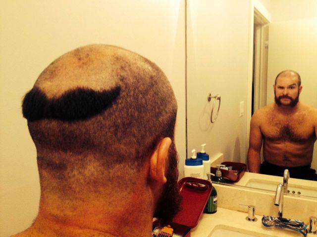 Daily Picdump