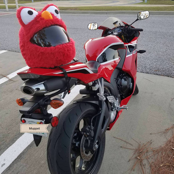 Daily Picdump