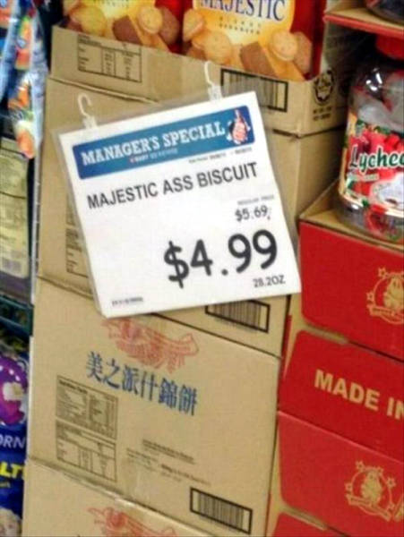 Daily Picdump