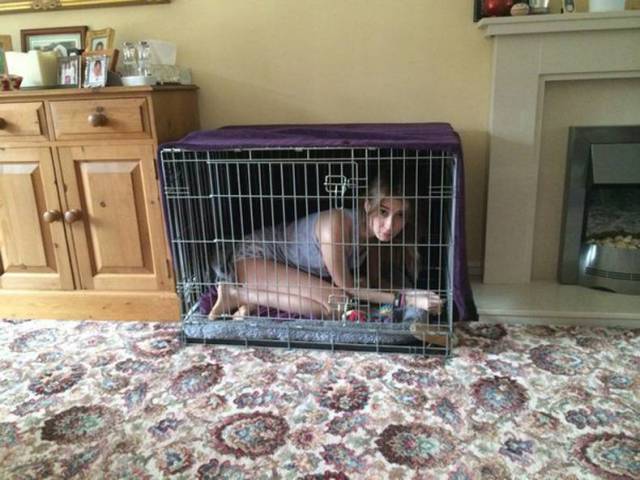 Daily Picdump