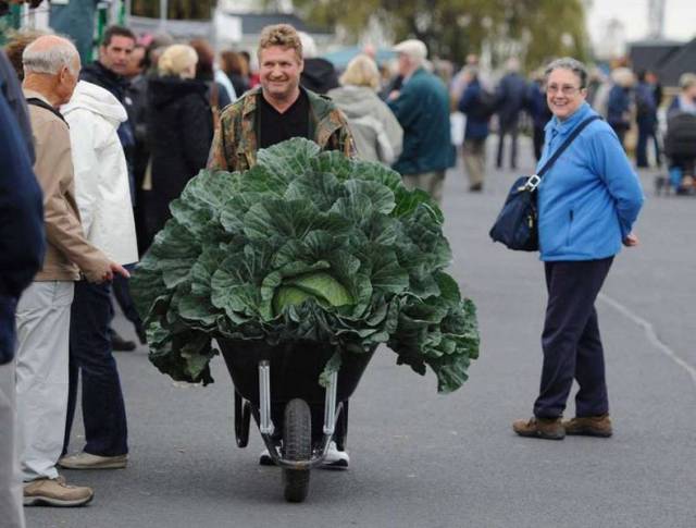 Daily Picdump