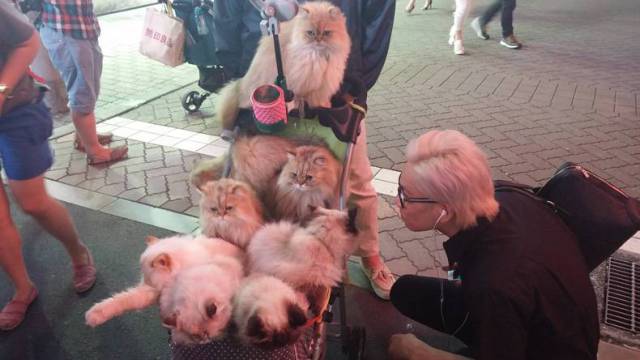 Daily Picdump
