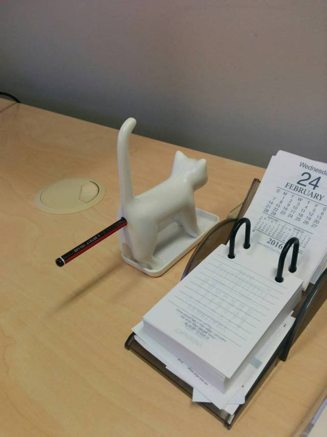 Daily Picdump