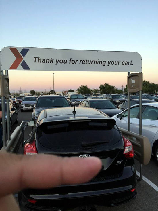 Daily Picdump