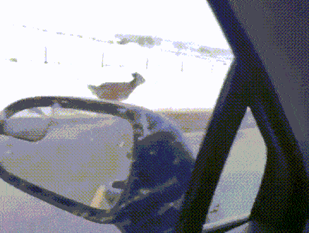 when_you_fail_epically_you_gotta_recover