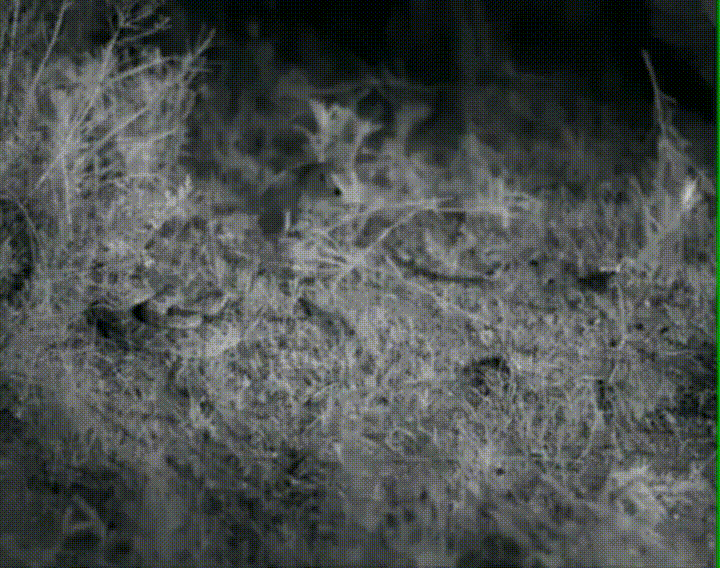 dont_worry_each_one_has_a_happy_end_here