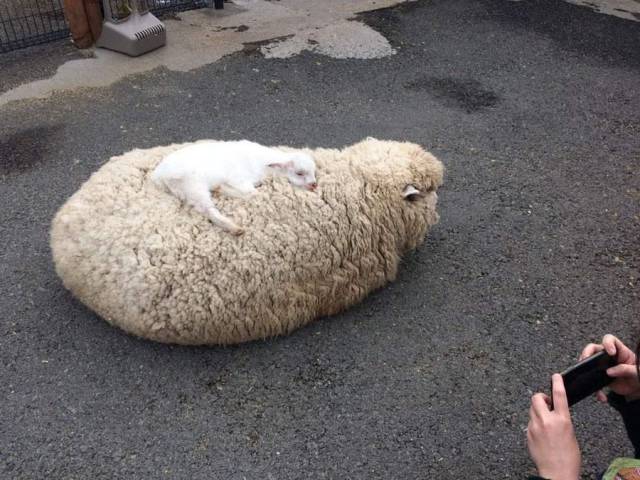 Daily Picdump