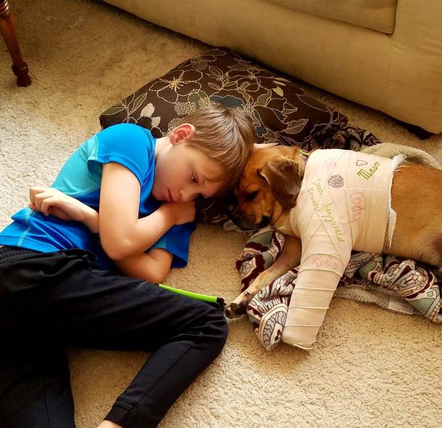 Daily Picdump