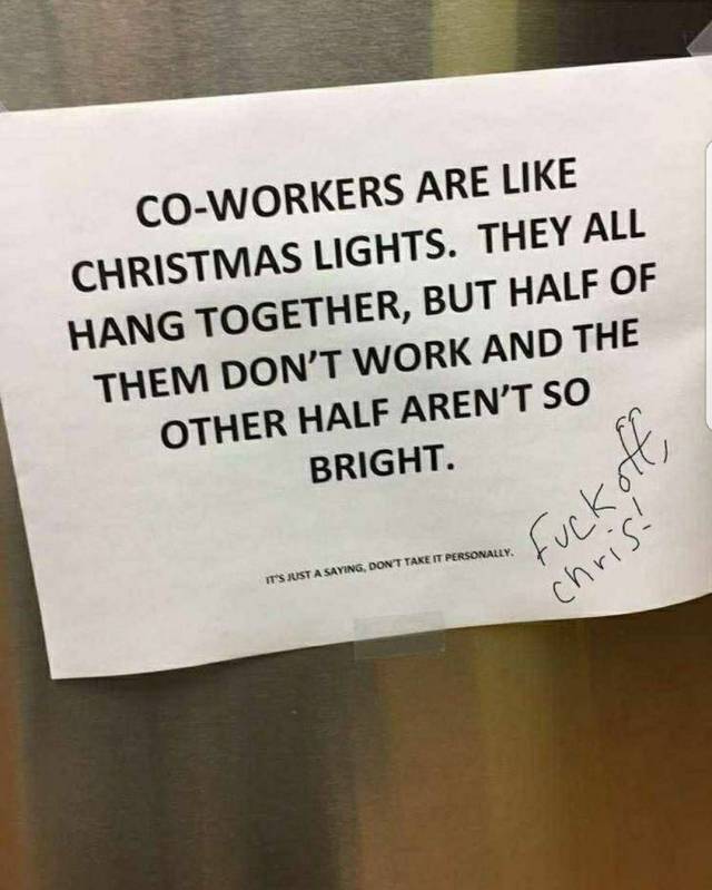 Daily Picdump