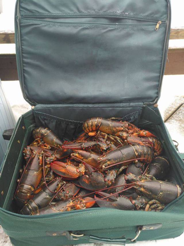 Daily Picdump