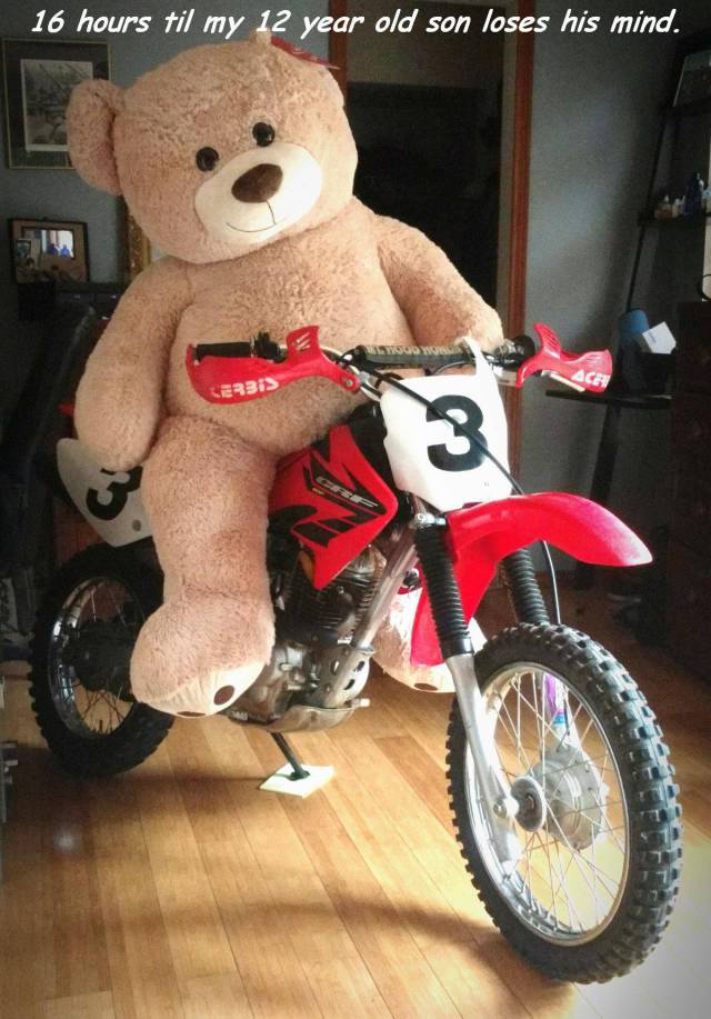 Daily Picdump