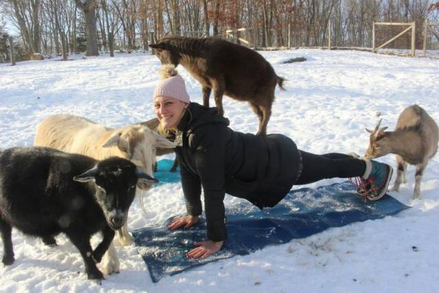Daily Picdump