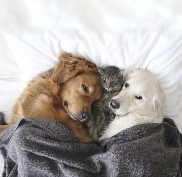 Daily Picdump