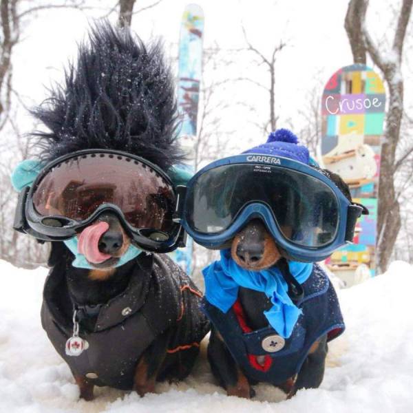 Daily Picdump