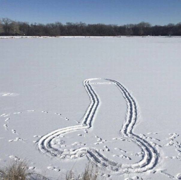 Daily Picdump
