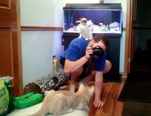 Daily Picdump