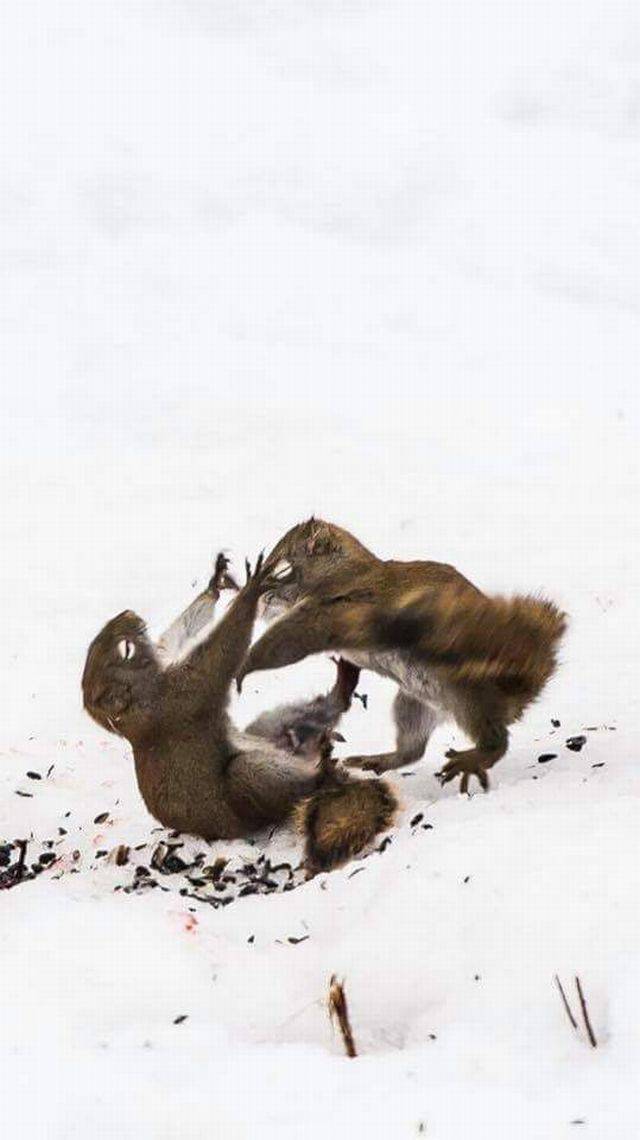 Daily Picdump