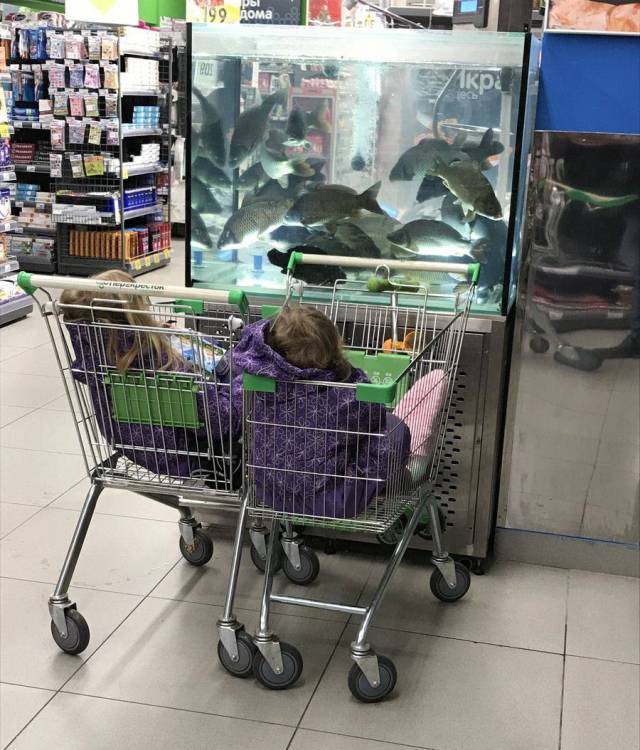 Daily Picdump