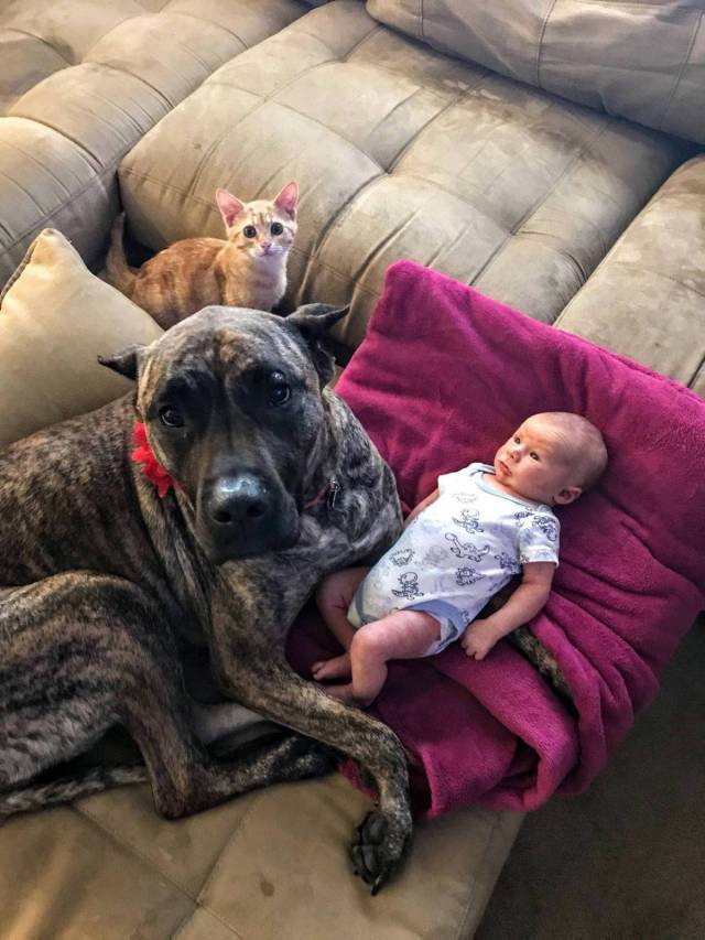 Daily Picdump