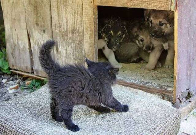 Daily Picdump