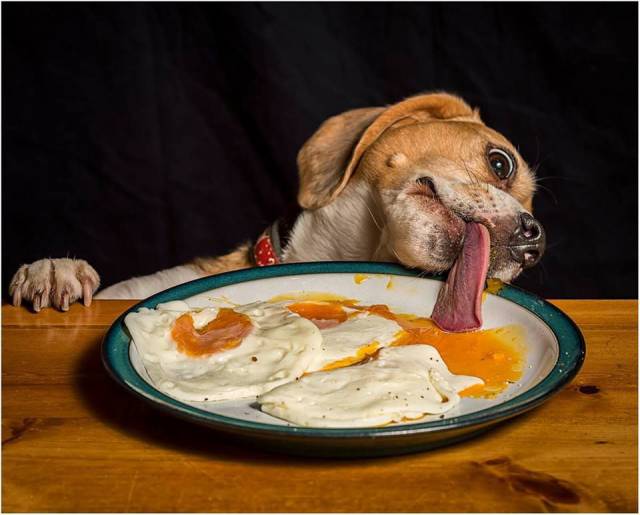Daily Picdump