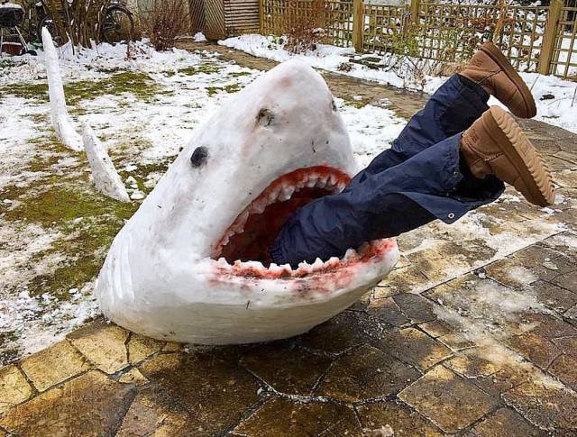 Daily Picdump