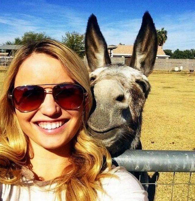 Daily Picdump