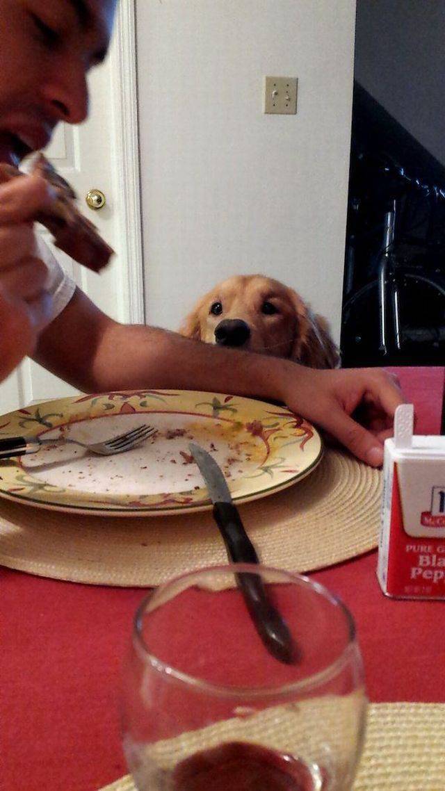 Daily Picdump